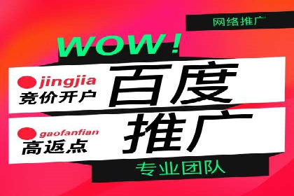 某公司通过百度竞价代理实现业绩翻倍的案例